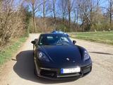 Porsche Cayman Cayman - Porsche Cayman in Hagen