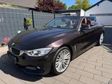 BMW Bmw 428i mit 1jahr tüv - BMW 428 aus 2014