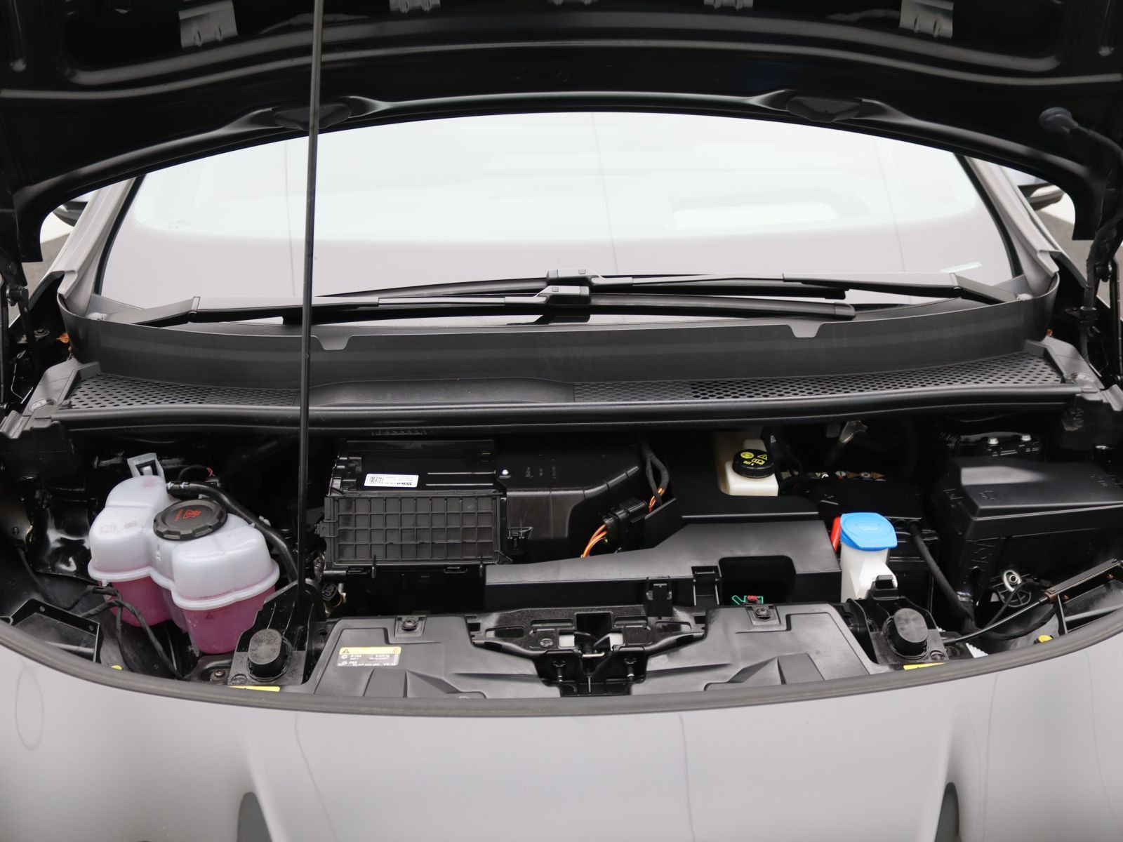 Cupra Born - Bild 19
