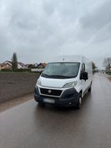Fiat Ducato - Fiat Ducato in Mannheim