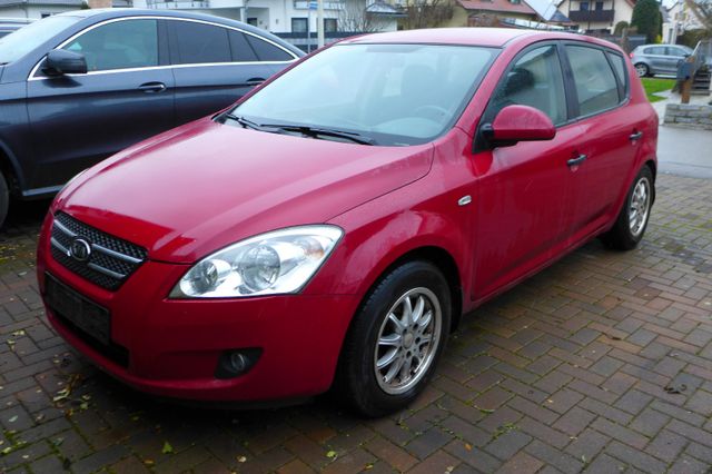 Kia cee'd / Ceed 8fach Bereift