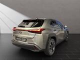 Lexus UX 250h*STYLE*1HAND*CARPLAY*MwSt* - Lexus UX in Duisburg