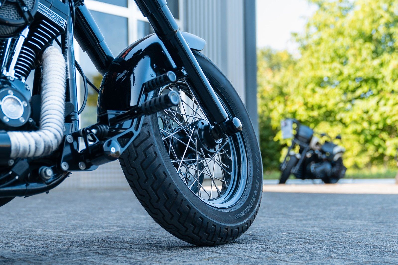 Fahrzeugabbildung Harley-Davidson FLSS SOFTAIL SLIM S 110 cui - Jekill & Hyde