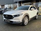 Mazda CX-30 2.0 M Hybrid Exclusive-Line DASO DESI - Mazda CX-30 Exclusive-Line mit Benzin-Antrieb