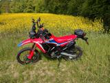 Honda CRF 300 Rally - Offers
