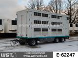 Andere KABA 3 Stock  Hubdach Viehanhänger - Viehanhänger
