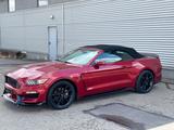 Ford Mustang 2.3 EcoBoost/auto/Shelby GT350 Optik - : Cabrio, Shelby