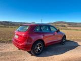 Audi Q5 3.0 TDI quattro S tronic,Leder,Navi,Standhzg - aus 2010: Geländewagen