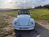 Volkswagen VW Käfer Cabrio Mexico 1984 - Volkswagen Käfer Mexico mit Benzin-Antrieb