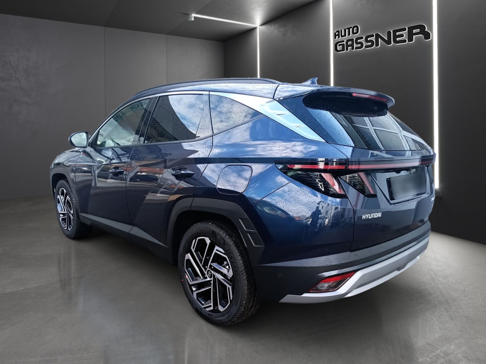 Fahrzeugabbildung Hyundai Tucson Hybrid Prime 239PS 4WD Assip.