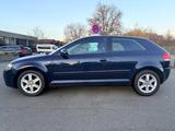 Audi A3 1.6 Ambition - Audi A3: 1.6