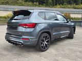 Cobra Ateca  - Cobra