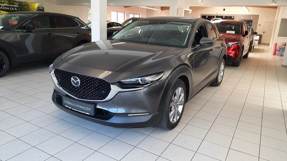 Mazda CX-30 SKYACTIV-G 150PS Select *18Zoll*Design-P.*