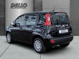 Fiat Pandina ICON Hybrid Parksensoren Klimanlage Blue - Fiat New Panda Benziner Gebrauchtwagen
