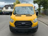 Ford Transit Kasten 290 L2 Trend - Ford: Gelb, Ka