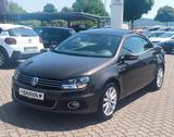 Volkswagen Eos Sport & Style - Volkswagen Eos mit Benzin-Antrieb: Cabrio