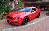 Ford Mustang GT 5.0 V8 Premium Topzust./nur 40.700km - Ford Mustang von privat