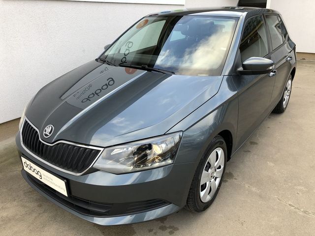 Skoda Fabia 1.0 MPI Ambition Klima PDC SHZ Allwetter