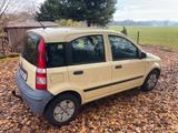 Fiat Panda - kleines Winter- wie Sommerfahrzeug - : Kleine