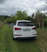 Audi SQ5 3.0 V6 TDI quattro Competition *s-heft* - Audi: Geländewagen, Q6