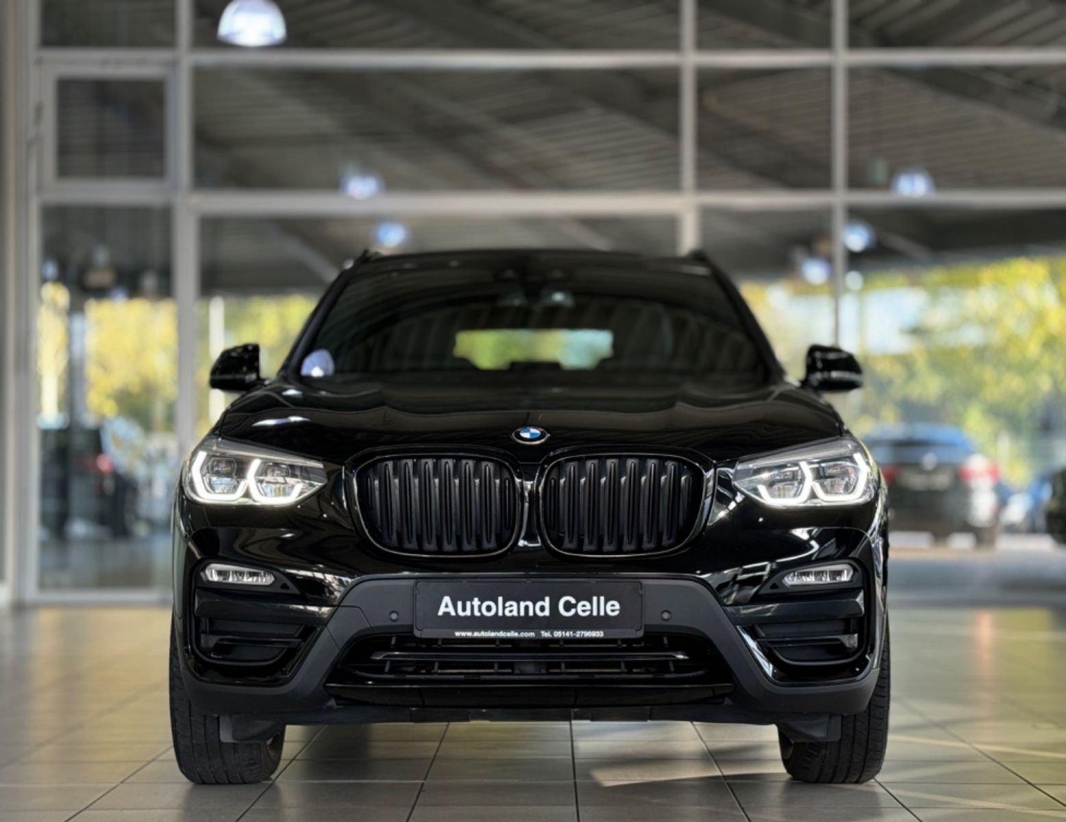 Fahrzeugabbildung BMW X3 xD30d Kamera HiFi Alarm LED MSport Individual