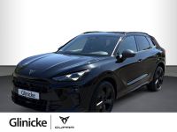 Cupra Terramar - Vorschau Bild 1
