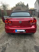 Volkswagen Golf 1.4 TSI 90 kW DSG Cabriolet  - Volkswagen Golf: Rot, Cabrio