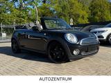 MINI Cooper Cabrio 1.6 Pepper _Vollleder_Klimaanlage_ - MINI MINI aus 2009: Cabrio