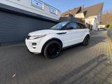 Land Rover Range Rover Evoque 2.2 SD4 White Dynamic Whi... - Land Rover Range Rover Evoque: White Dynamic