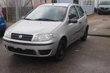 Fiat Punto 1.2 8V Start - Fiat Punto in Essen