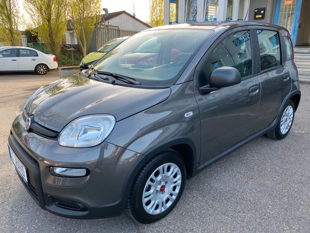 Fiat Panda Base 1.0 Mild-KLIMA-1.HAND-EURO 6