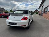 Volkswagen Beetle 1.2 TSI DSG  Cabriolet - - Volkswagen Gebrauchtwagen in Rheine