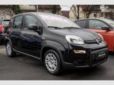 Fiat Panda Hybrid 1.0 PDC Klima dig.Kombiinstr. Temp. - Fiat Panda in Hamm