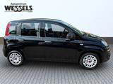 Fiat Panda Urban - gebrauchte Fiat Panda aus dem Jahr 2021