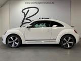 Volkswagen Beetle Cup/Autom./Alu18 Zoll/Navi/Gl.Schiebedach - Volkswagen Beetle: Auto