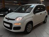 Fiat Panda 1.2 Pop|Klima|Isofix|5 Türer|weiß/&rot| - scheckheftgepflegte Fiat Panda