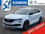 Skoda Karoq 2.0 TSI 4x4 DSG Sportline Navi ACC Kamera