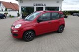 Fiat Panda 1.2 8V MY PANDA - Fiat Panda: My