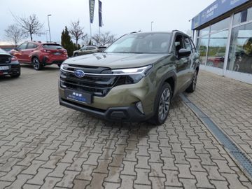 Bild 2 Subaru Forester 2.0ie Mild-Hybrid Platinum Start/Stop