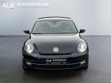 Volkswagen Beetle - 8