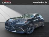 Lexus ES 300 BUSINESS*SCHIEBEDACH*LED*NAVI*ALLWETTER*G - Lexus: Sc300