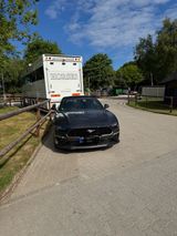 Ford Mustang GT  Cabrio 450 PS - Ford: F450