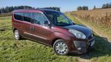 Fiat FIAT Doblo Cargo Kombi Maxi SX2.0 Multijet... - Fiat Doblo: Kombi, Maxi Sx