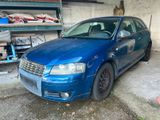 Audi A3 2.0 TDI 140PS Klima S-Line Euro 4 ... - Audi A3 aus 2004: Line