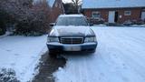 Mercedes-Benz Mercedes Benz c 220cdi w202 T Modell - Mercedes-Benz: Kombi, W202