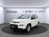 Fiat Panda PANDINA Hybrid 70 PS, Gelato Weiß, Klima, 