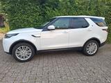 Land Rover Discovery 3.0 TD6 HSE HSE - Land Rover Discovery: Weiß