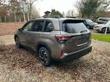 Subaru Forester Active Lineatrinoc - Subaru Forester Gebrauchtwagen
