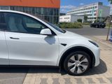 Tesla Model Y (Standard RWD | Weiss Interiur ) - Tesla Model Y aus 2024
