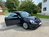 Volkswagen Beetle 1.2 TSI - - VW Beetle von privat